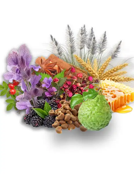 Delicate Gardens Clean Fragrance - Fragrances